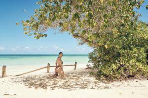 Original 7638 px/ 5092 px