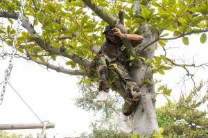 Original 2499 px/ 1663 px