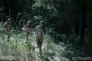 Original 1200 px/ 795 px