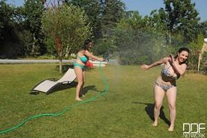 Original 1600 px/ 1065 px