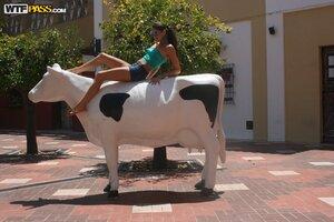 Original 1600 px/ 1067 px