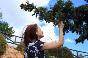 Original 5000 px/ 3333 px