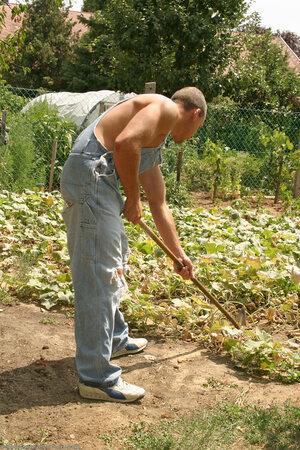 Original 1024 px/ 1536 px