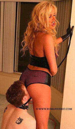 Original 462 px/ 800 px