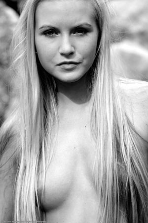 Original 1023 px/ 1536 px