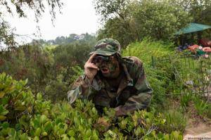 Original 2499 px/ 1663 px