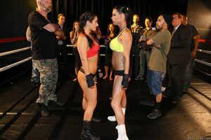 Original 2495 px/ 1663 px