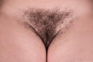 Original 3000 px/ 2002 px