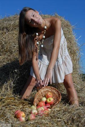 Original 402 px/ 600 px