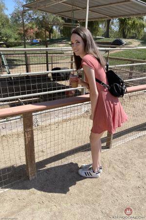 Original 2000 px/ 3000 px