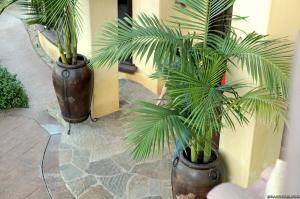 Original 2495 px/ 1663 px