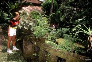 Original 4734 px/ 3200 px