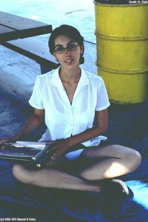 Original 512 px/ 768 px