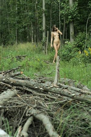 Original 2592 px/ 3888 px