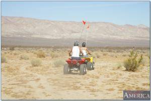 Original 850 px/ 571 px