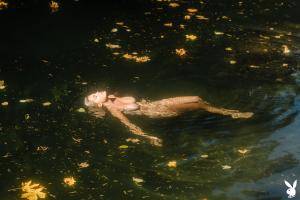 Original 2739 px/ 1826 px