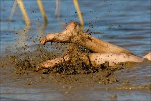 Original 3000 px/ 2008 px