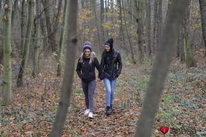 Original 4000 px/ 2667 px