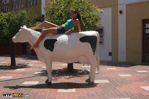 Original 1600 px/ 1067 px