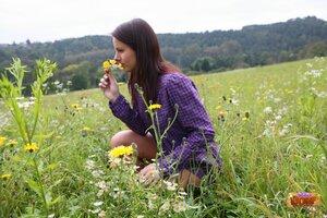 Original 2464 px/ 1643 px