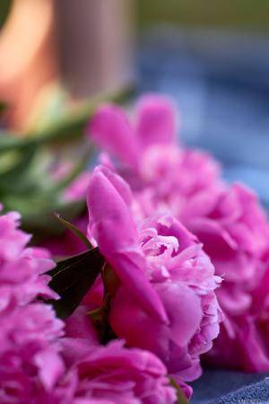 Original 4480 px/ 6720 px