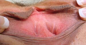 Original 2300 px/ 1200 px