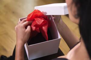 Original 5000 px/ 3333 px