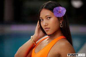 Original 3000 px/ 2000 px