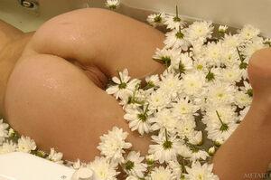 Original 2500 px/ 1662 px