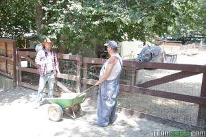 Original 1620 px/ 1080 px