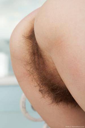 Original 854 px/ 1280 px