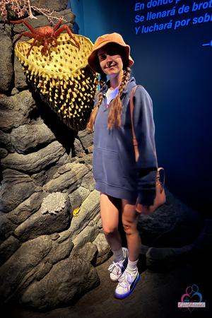 Original 2000 px/ 3000 px