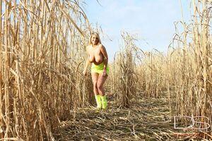 Original 1800 px/ 1200 px