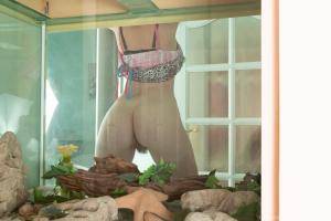 Original 3000 px/ 2000 px