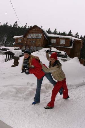 Original 793 px/ 1190 px