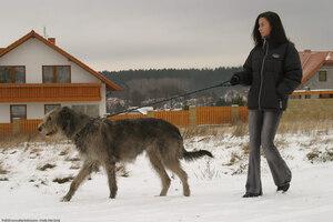 Original 1536 px/ 1024 px