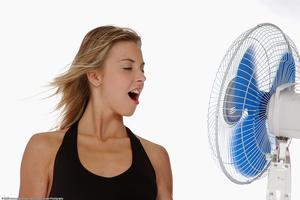 Original 1536 px/ 1024 px