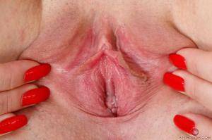 Original 1280 px/ 853 px