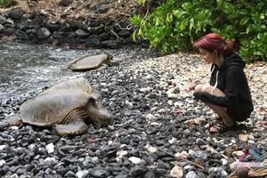 Original 3000 px/ 2000 px