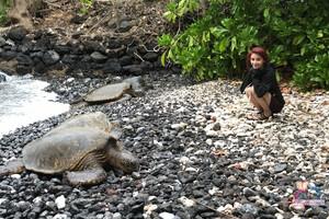 Original 3000 px/ 2000 px