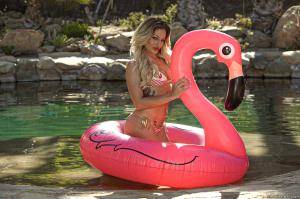 Original 2496 px/ 1663 px