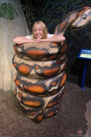 Original 2000 px/ 3000 px