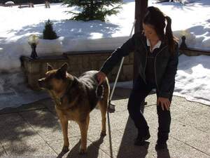 Original 1600 px/ 1200 px