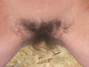 Original 1024 px/ 768 px