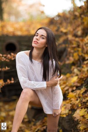 Original 2000 px/ 3000 px