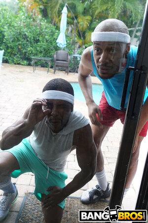 Original 1333 px/ 2000 px