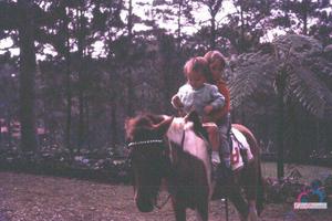 Original 536 px/ 357 px