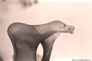 Original 1536 px/ 1024 px