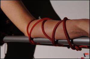 Original 1616 px/ 1074 px