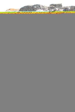 Original 2000 px/ 3008 px